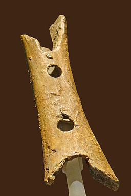 benen fluitje met een ouderdom van omtrent 60.000 jaar